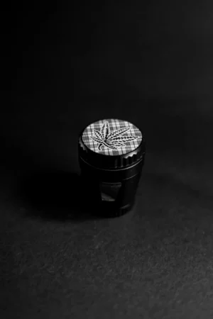 See thru window mrvilica